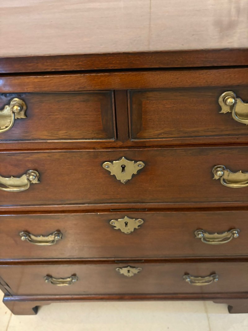 Rare Small Antique George III Quality Mahogany Bachelors Chest of 5 Drawers - Image 9